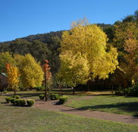 Willowlake Cottages - Tourism Canberra