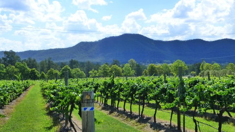 Winmark Wines - Tourism Canberra 1