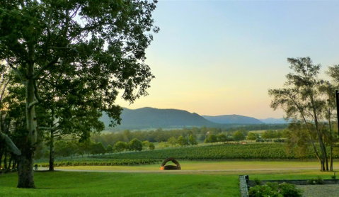 Winmark Wines - Tourism Canberra 0