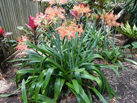 Winston Cottage - Tourism Canberra 2