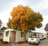 Wodonga Caravan  Cabin Park - Tourism Canberra