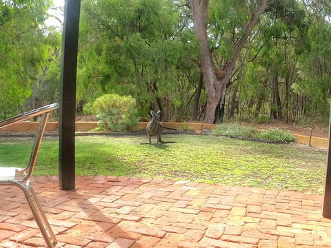 Yallingup Pet Friendly Bush Retreat - Tourism Canberra 3