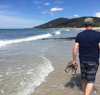 Rose Cottage sisters beach accommodation - Tourism Canberra