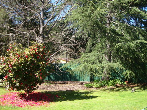 Ageri Holiday House - Tourism Canberra 3