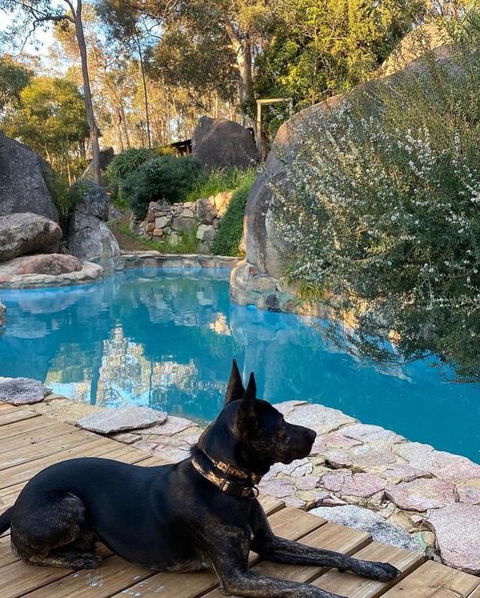 A Paradise For Dogs And A Magical Retreat For Hoomans - Tourism Canberra 4