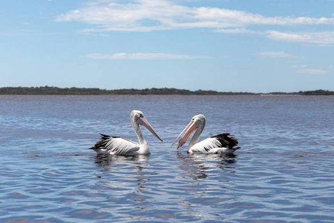 Amazing Ansons Bay Remote Paradise For The Family In The Bay Of Fires Area - Tourism Canberra 2