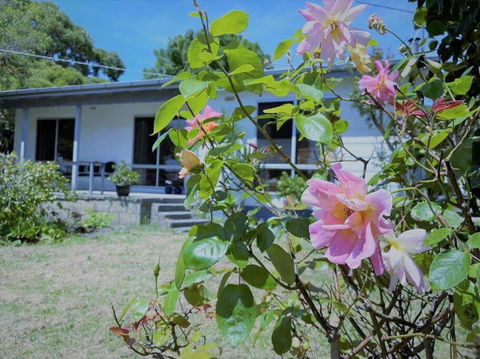 Apollo Bay Holiday House - Tourism Canberra 1