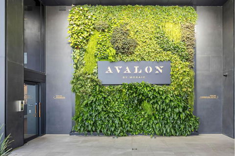 Avalon Resort Maroochydore - Tourism Canberra 2
