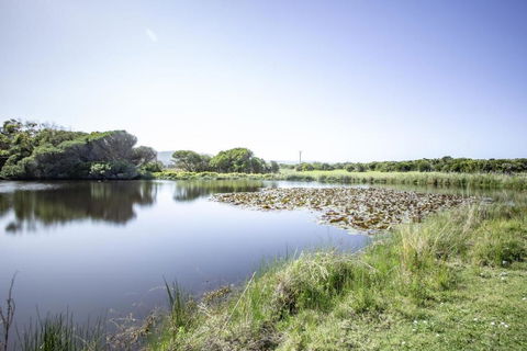 Apollo Bay Cottages- Sabine - Tourism Canberra 3