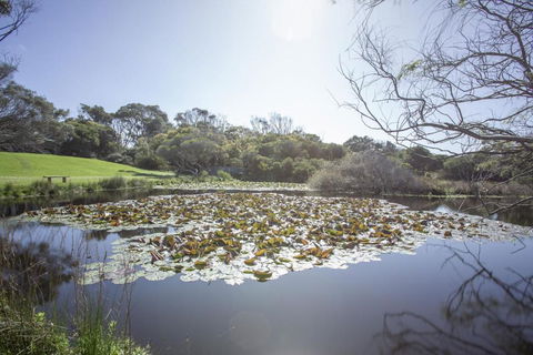 Apollo Bay Cottages- Sabine - Tourism Canberra 4