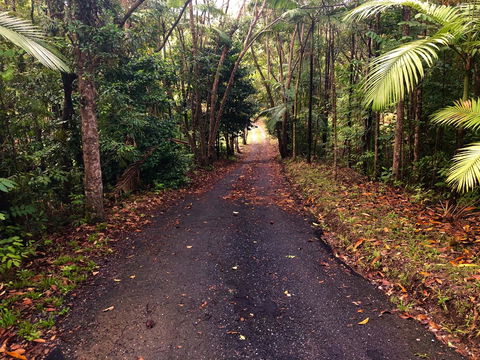 Daintree Manor B&B - Tourism Canberra 12