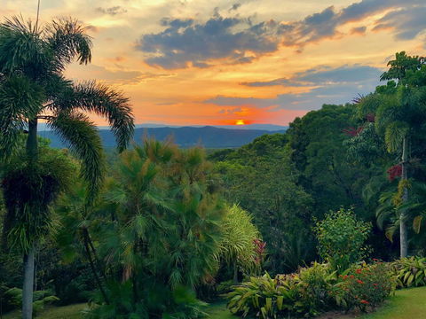 Daintree Manor B&B - Tourism Canberra 13