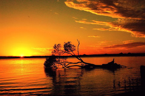 Fishing And Swimming At Your Doorstep - Sylvan Beach Esp, Bellara - Tourism Canberra 2