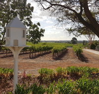 'In The Vines' Guest Cottage Barossa Valley - Tourism Canberra