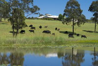 Book Nabiac Accommodation Vacations Tourism Canberra Tourism Canberra