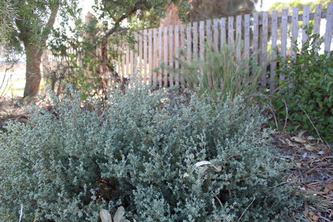 12 Apostles Cottages - Tourism Canberra 2
