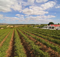 1837 Barossa Luxury Vineyard Cottages - Tourism Canberra