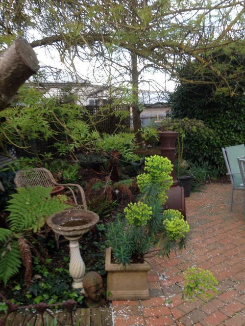 Butlers Guesthouse - Tourism Canberra 0