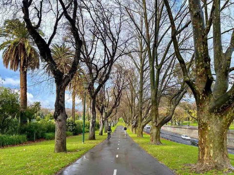 D124 Big Stay At Biggs - Tourism Canberra 2
