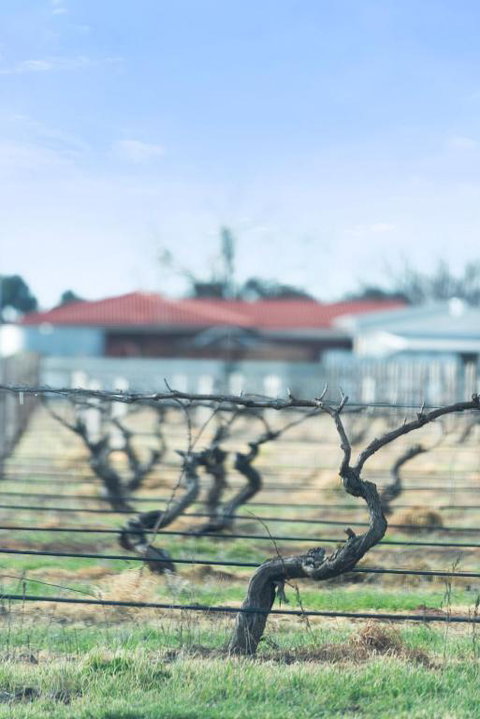 Crimson Ridge - Wines, Vines And Dine - Tourism Canberra 1