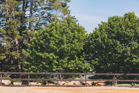 Dalblair Bed & Breakfast - Tourism Canberra 2