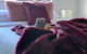 Damais - 4 King Or 8 Single Beds WiFi, Netflix, Alexa, Pet Friendly - thumb 1
