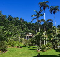 A Daintree Garden - Tourism Canberra