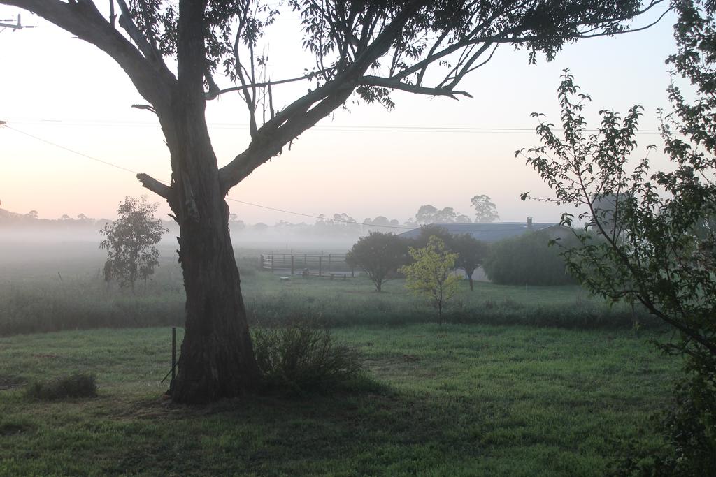Arbuckle VIC Tourism Canberra