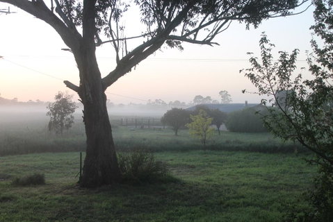 Abington Farm - Tourism Canberra 0