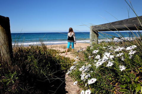 Absolute Beachfront Mollymook - Tourism Canberra 3