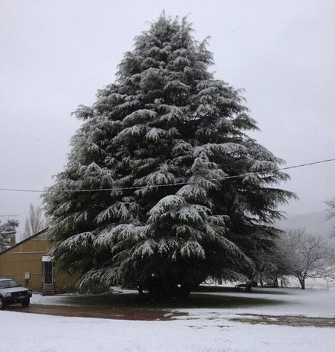 Duckmaloi Park Lodge - Tourism Canberra 3