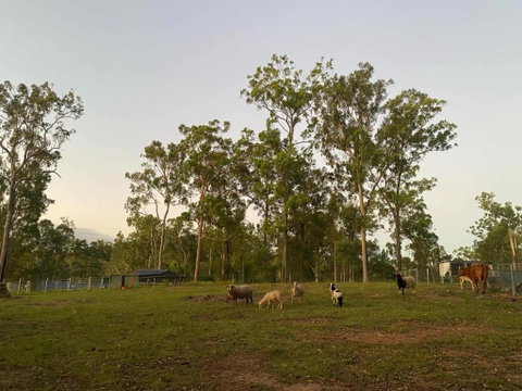 Gemmas Animal Farm By Tiny Away - Tourism Canberra 1