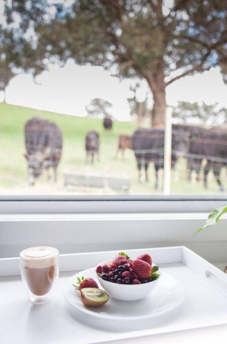 Hickey Vale Farm Lodge Pet Friendly - Tourism Canberra 2