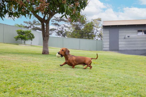 Illaroo House 16 Verona Rd - Pet Friendly, Boat Parking, Wi-Fi - Tourism Canberra 2