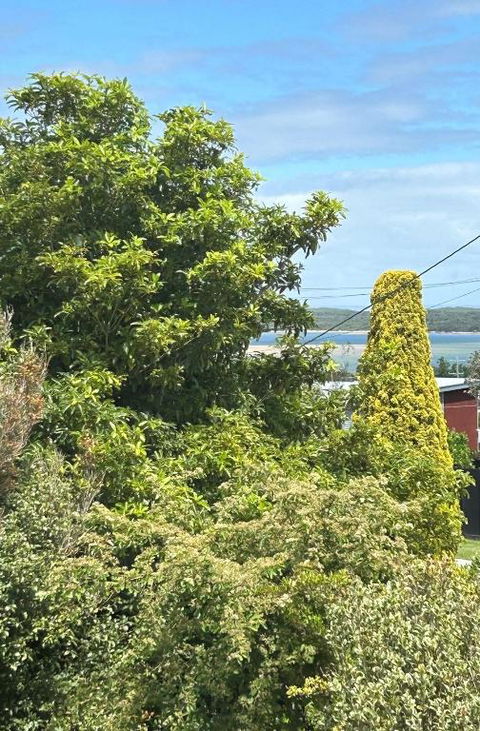 Iconic Beach House On Bruce - Tourism Canberra 1