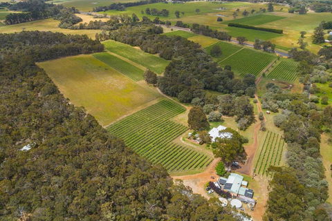 Island Brook Estate Vineyard And Chalets - Tourism Canberra 0