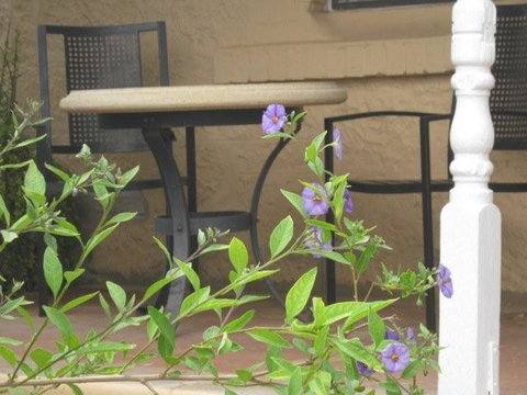Amalie Cottage Waikerie - Tourism Canberra 0