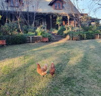 Angaston by the Winter Creek - Tourism Canberra