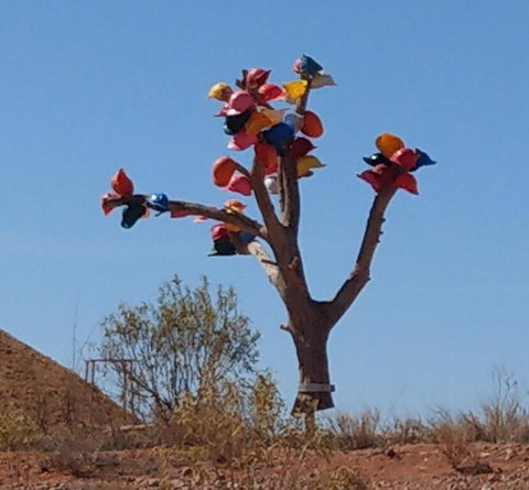 ANTE STREET DUGOUT - Tourism Canberra 1