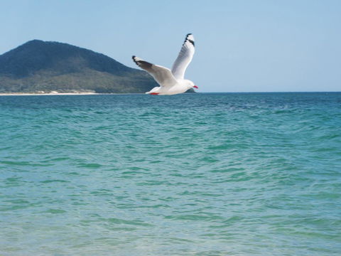 Architectural Design On The Beach - Tourism Canberra 1