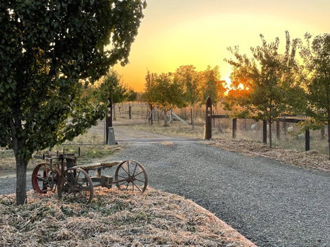 Maple Lane Farm Stay - Tourism Canberra 0