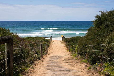 Mona Vale Surf To Tee - Tourism Canberra 1