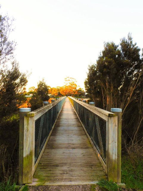 Moomba Holiday And Caravan Park - Tourism Canberra 3