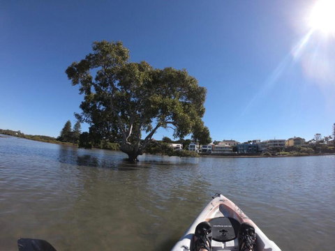 Moreton Bay Beach Lodge - Tourism Canberra 1
