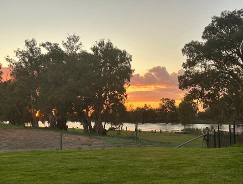 Pelicans On The Darling - Tourism Canberra 0