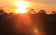 Panorama - thumb 2