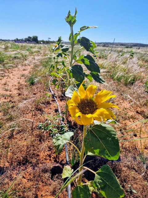 Quentin Park Hideaway - Tourism Canberra 2