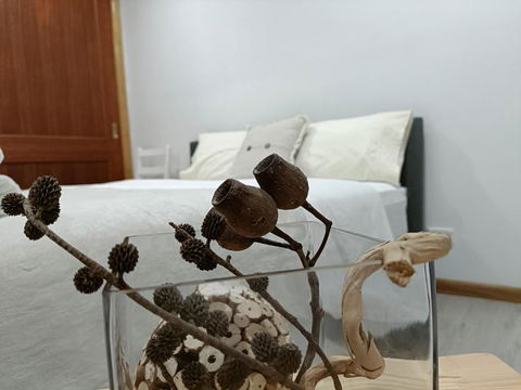 Quiet Nature-Filled Ground Floor Unit - Tourism Canberra 1