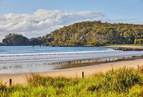 Rare Broulee Beachfront House - Tourism Canberra 3