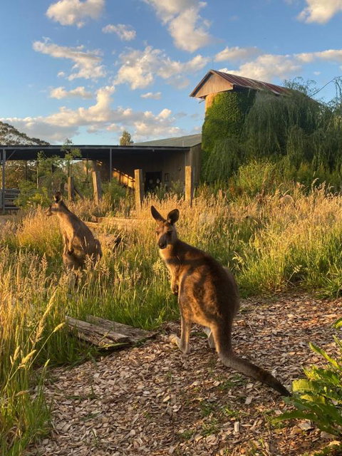 Private Country Escape With Valley Views - Tourism Canberra 2